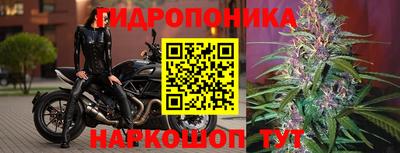спиды Анжеро-Судженск