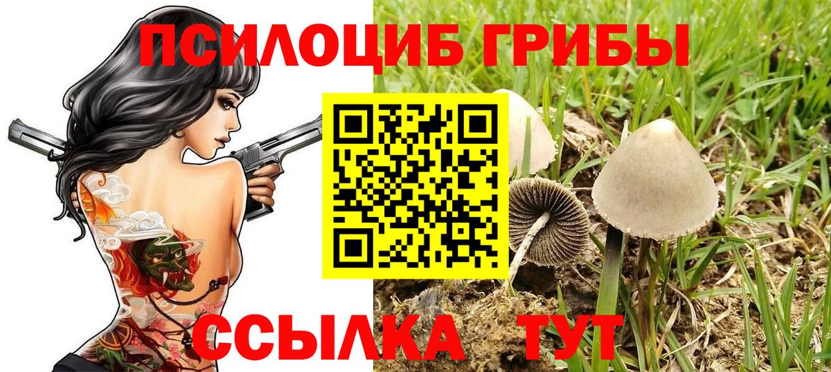 Псилоцибиновые грибы GOLDEN TEACHER Каменск-Уральский